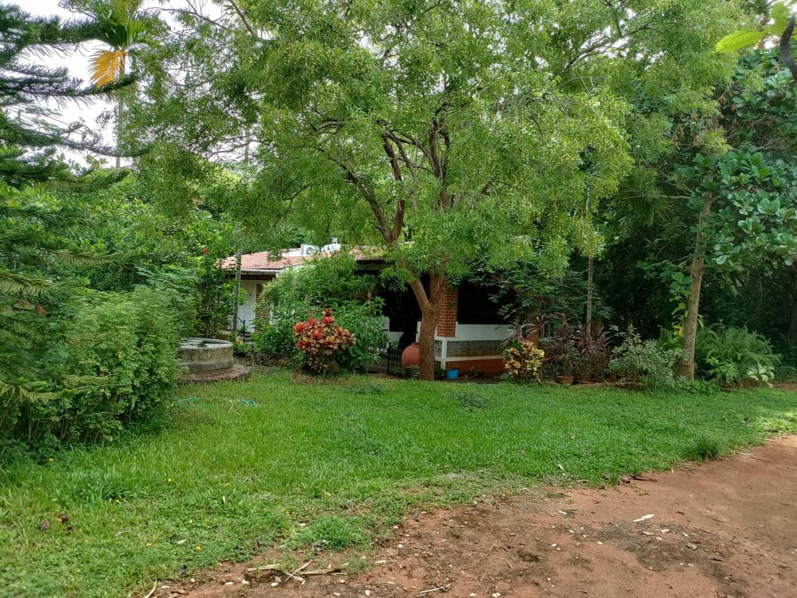 Inn Pondiville Forest Retreat Pondicherry Bagian luar foto