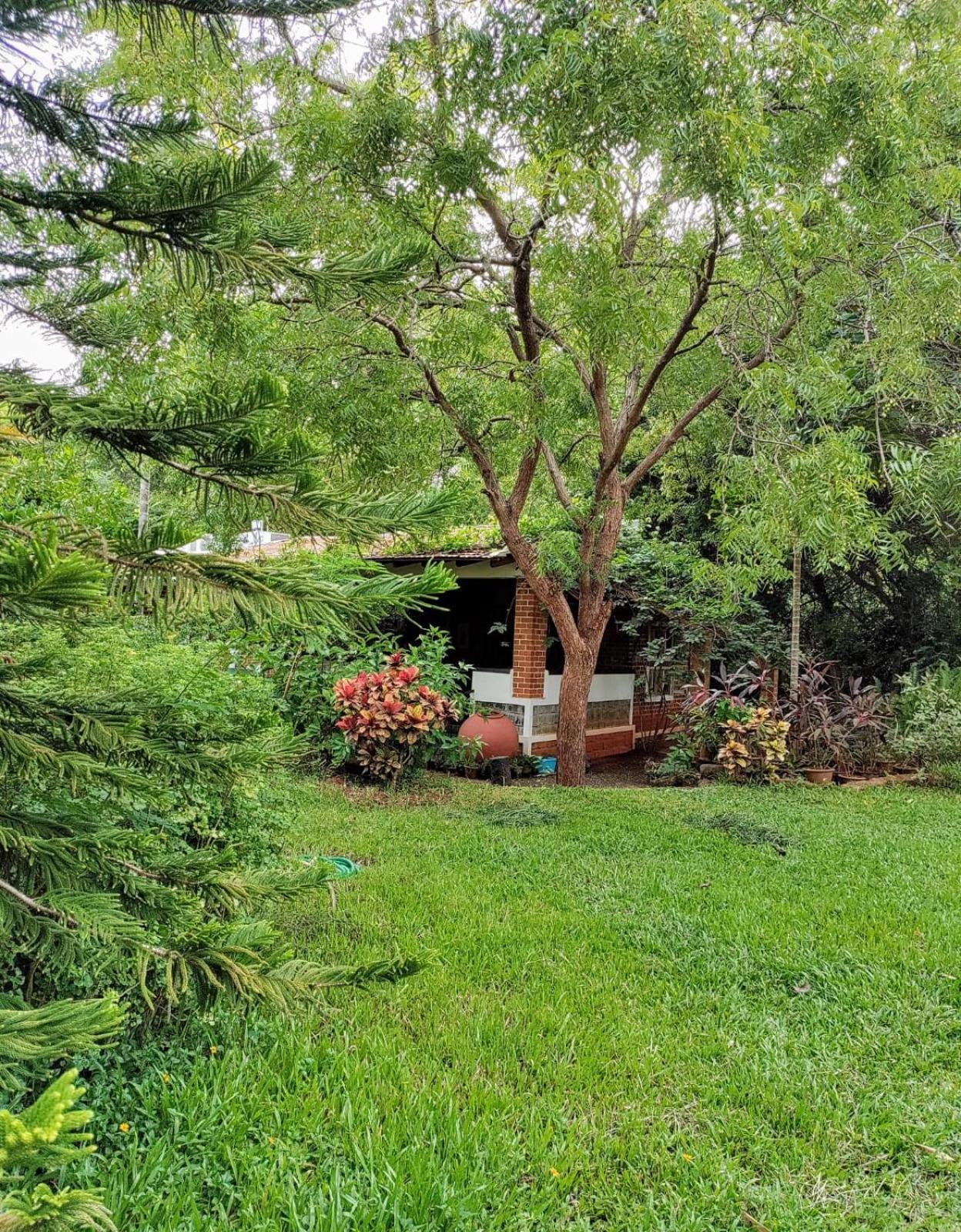 Inn Pondiville Forest Retreat Pondicherry Bagian luar foto