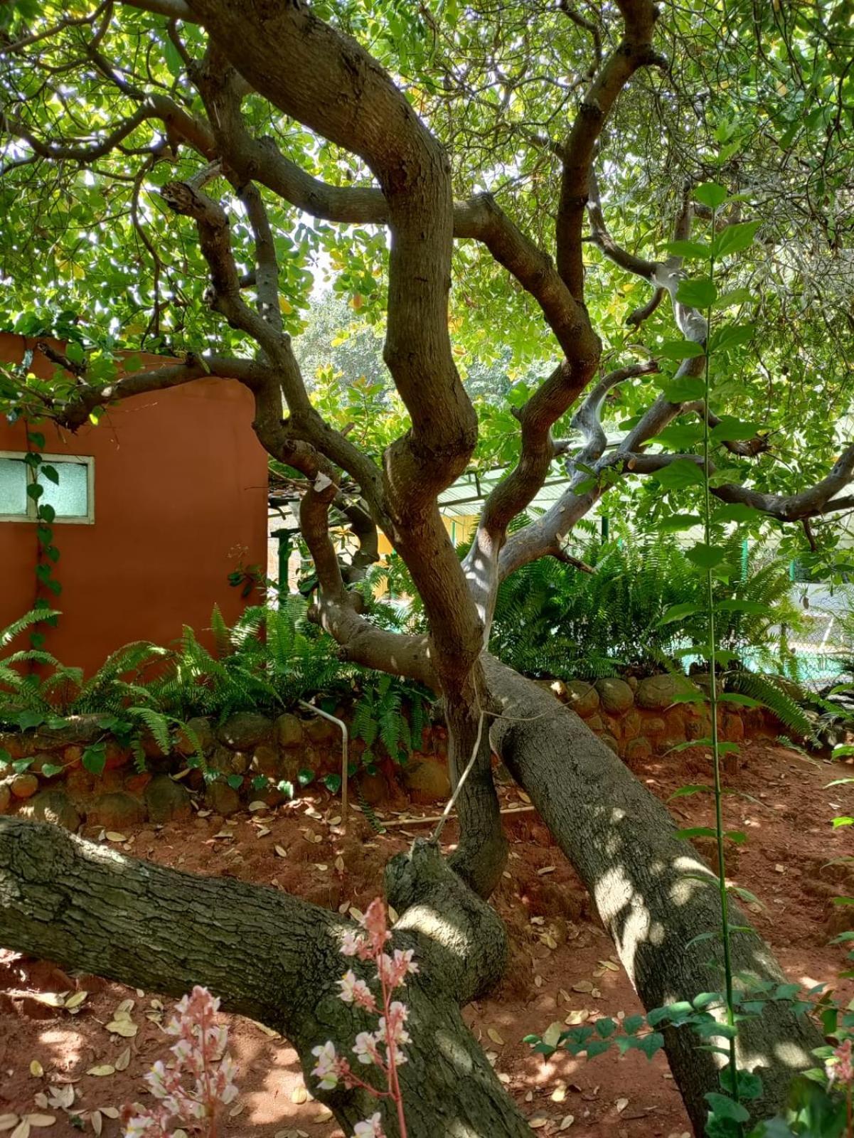 Inn Pondiville Forest Retreat Pondicherry Bagian luar foto