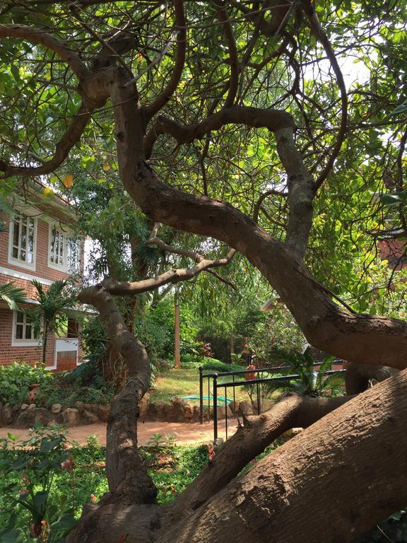 Inn Pondiville Forest Retreat Pondicherry Bagian luar foto