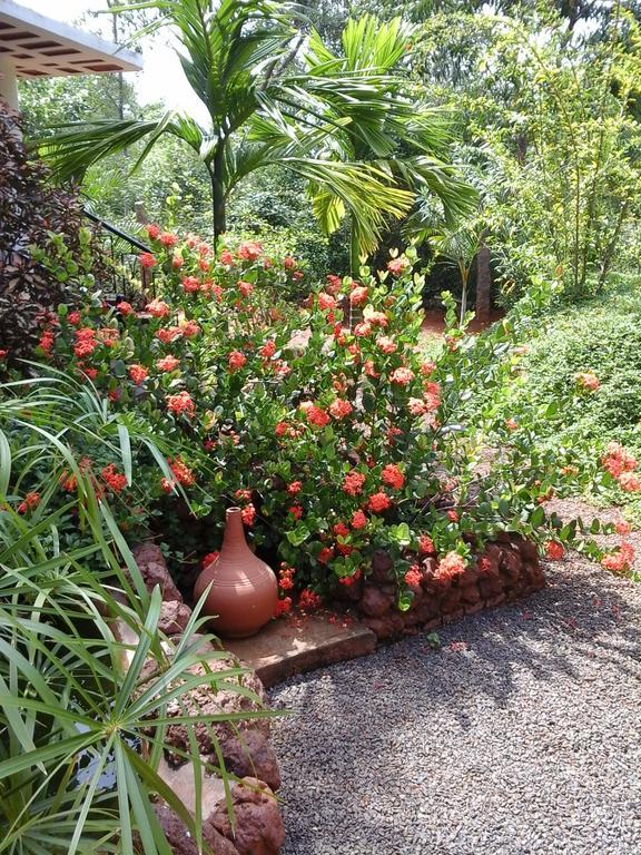 Inn Pondiville Forest Retreat Pondicherry Bagian luar foto